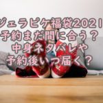 ナノユニ福袋21予約はいつからで予約後いつ届く 中身ネタバレと口コミを紹介 シンママｌｉｆｅ